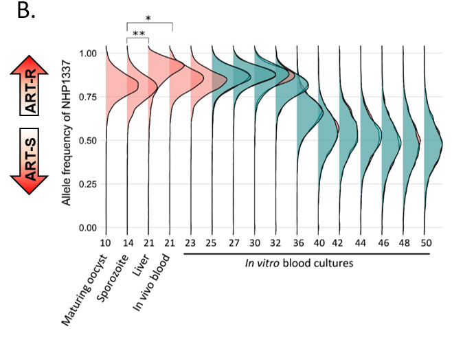 li_plosgenetics2019.jpg