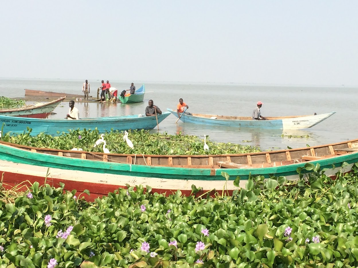 Schistosomiasis is an occupational hazard for fishing communities on the shores of lake Victoria