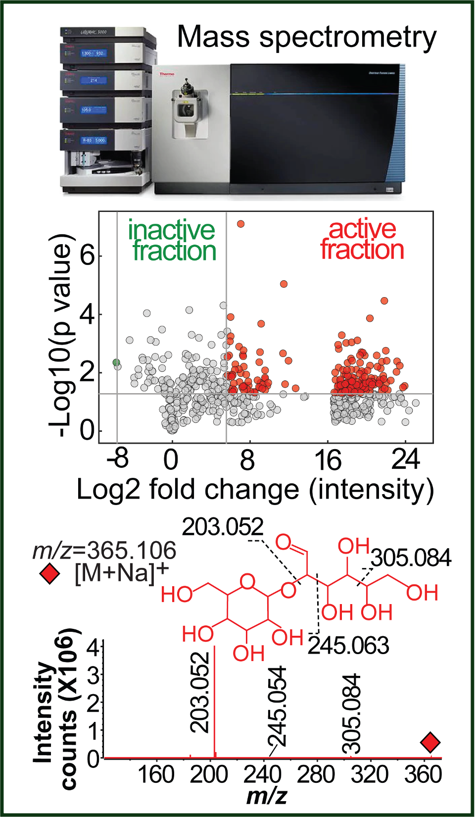 Functional Metabolomics and Lipidomics image
