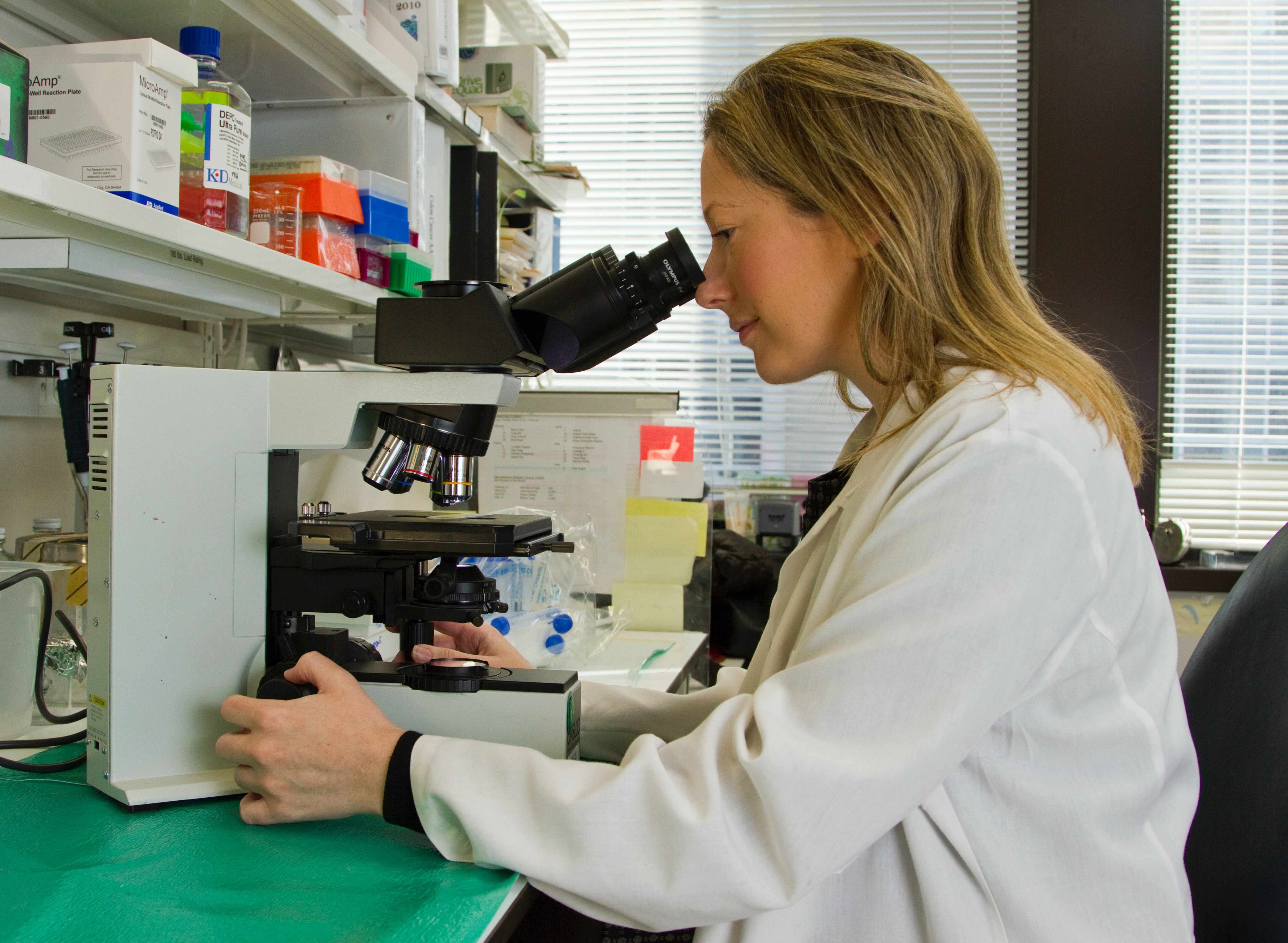 researcher looking into a microscope