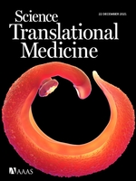 Cover of Science Translational Medicine showing a schistosome male worms