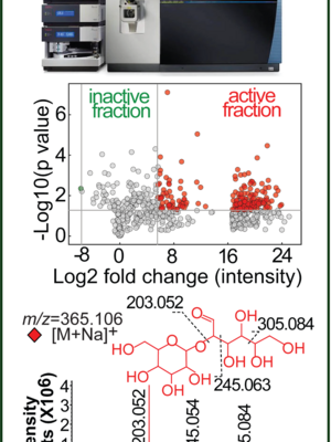 Functional Metabolomics and Lipidomics image