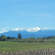 05-perpignan