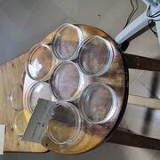 Petri Dishes