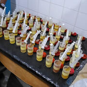 urine samples syringes