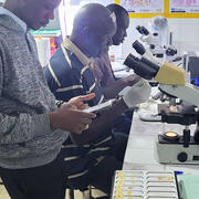 microscope