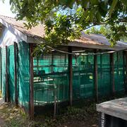The snail rearing facility (snails hut) in KEMRI, Kisumu