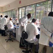 Production line processing of snail microbiomes in the Neglected Tropical disease Lab in KEMRI (Kisumu)