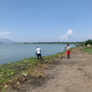 Collection of snails in Lake Victoria - Kisumu - Kenya