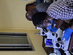microscope