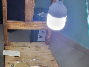 Petri Dishes
