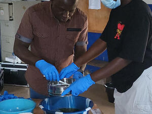 Sifting feces