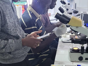 microscope