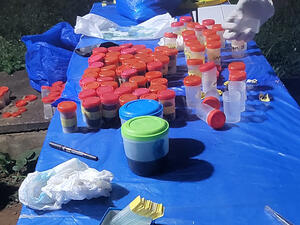 table of samples
