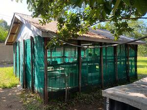 The snail rearing facility (snails hut) in KEMRI, Kisumu