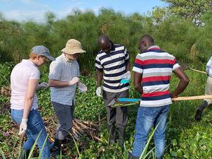 Frédéric Chevalier and Winka Le Clec’h collecting Biomphalaria spp. and Bulinus spp.  snails with two collaborators, Churchil and Boaz 