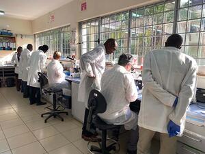 Production line processing of snail microbiomes in the Neglected Tropical disease Lab in KEMRI (Kisumu) 