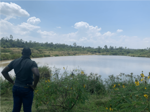 View from the shore of the Lake Victoria - Kisumu - Kenya