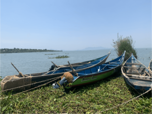 Water contact - Shore of the Lake Victoria