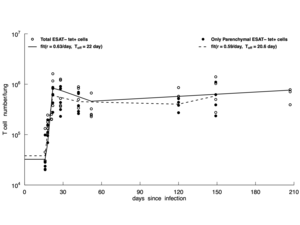 immune_response_kinetics-2024