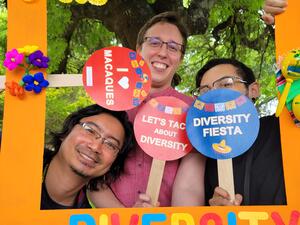 Fiesta Antonio, Boby, Grey