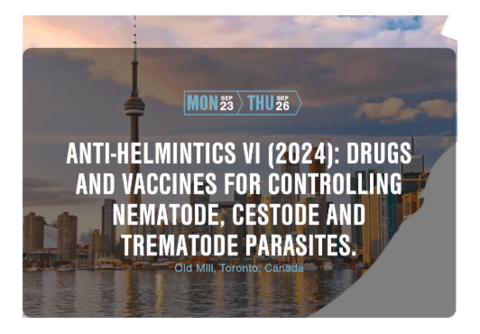 Anti-helmintics VI