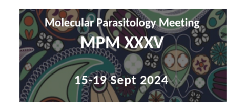 MPM XXXV