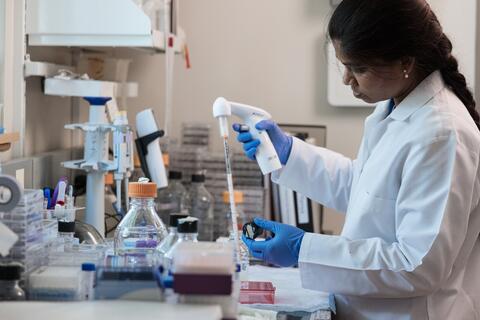 RB_Labwork