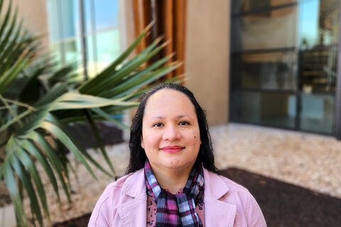 Paula A. Pino Tamayo