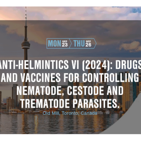 Anti-helmintics VI