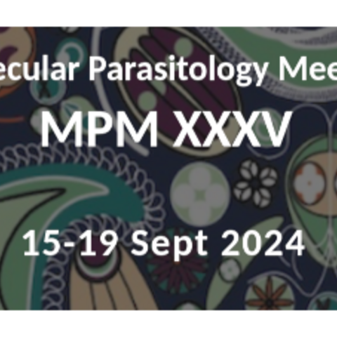 MPM XXXV