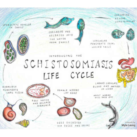 BRI_schistosomiasis_resource_center