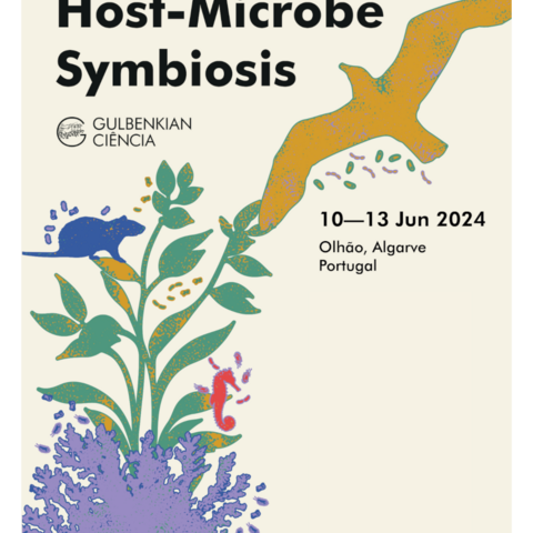 SymbNET conference flyer
