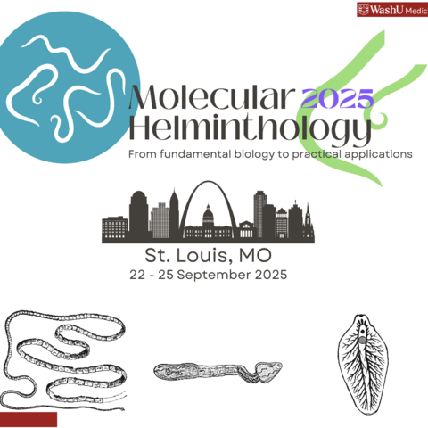 Molecular Helminthology Meeting in St. Louis