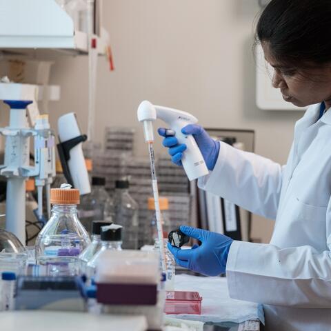 RB_Labwork