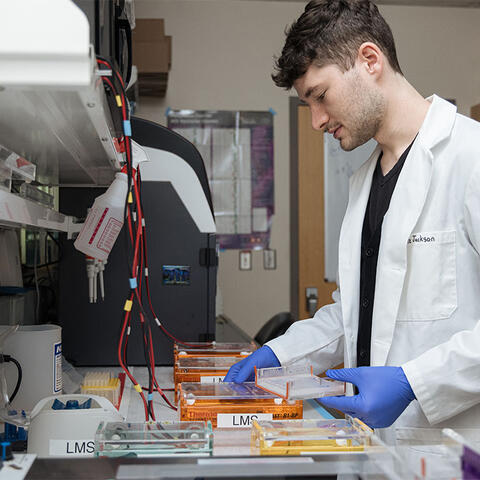 gel being loaded