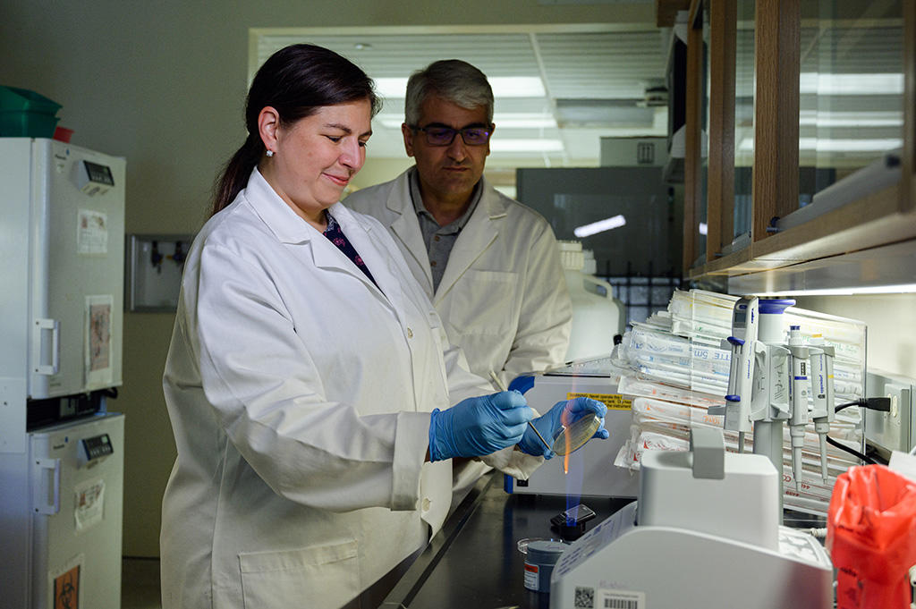Dr. Ebrahimi and Rachael Springman Rodrigue working in lab