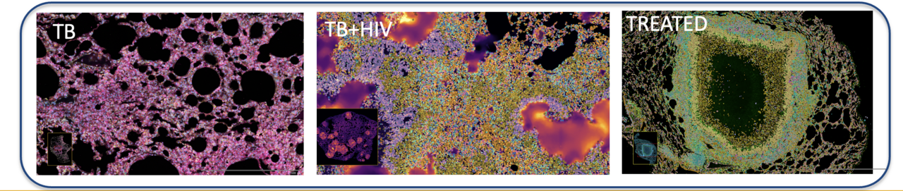 Banner showing microscope images