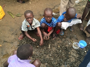 Enthusiastic volunteer field workers sorting schistosome vector snails on the shores of lake Victoria (Kenya)